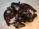 Affordable 1996-2007 Black Red Flame Suzuki GSXR 1300 Hayabusa Motorbike Fairing Affordable 1996-2007 Black Red Flame Suzuki GSXR 1300 Hayabusa Motorbike Fairing
