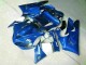 Affordable 2000-2001 Blue Yamaha YZF R1 Motor Fairings Affordable 2000-2001 Blue Yamaha YZF R1 Motor Fairings
