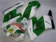 Affordable 2004-2005 Green White Honda CBR1000RR Motorcycle Fairing Affordable 2004-2005 Green White Honda CBR1000RR Motorcycle Fairing