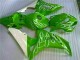 Affordable 2006-2007 Green Honda CBR1000RR Motorbike Fairings