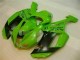 Affordable 2007-2008 Green Black Dunlop Kawasaki ZX6R Motorbike Fairing Kits Affordable 2007-2008 Green Black Dunlop Kawasaki ZX6R Motorbike Fairing Kits